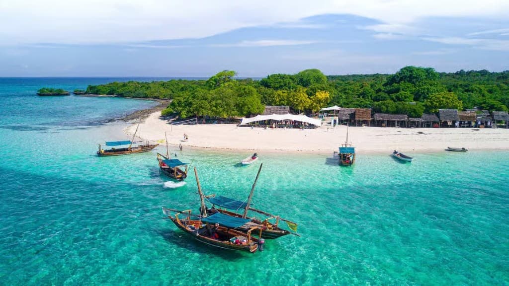 Escursione Safari Blue Zanzibar in dhow sulla spiaggia