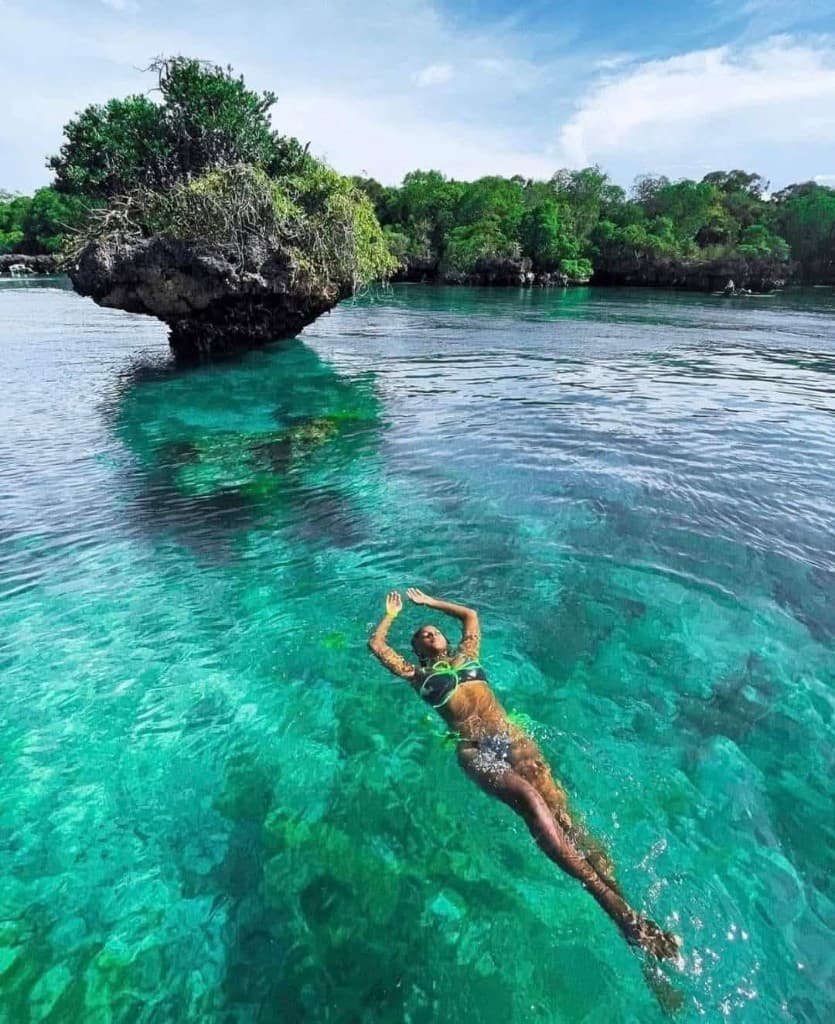 Escursione Safari Blue Zanzibar: nuoto in laguna cristallina