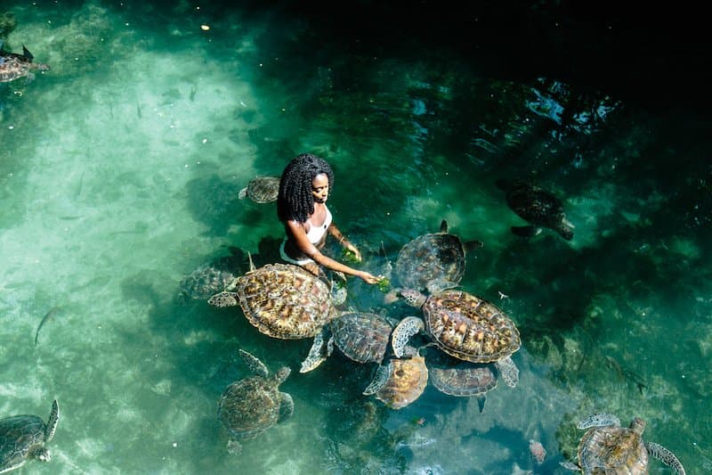 Escursione tartarughe Zanzibar: bagno in acque basse a Kwendwa