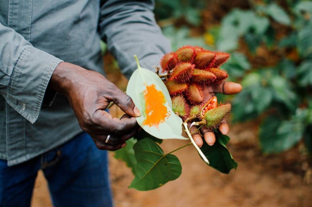 Escursione Spice Farm Zanzibar: spezie annatto su una foglia